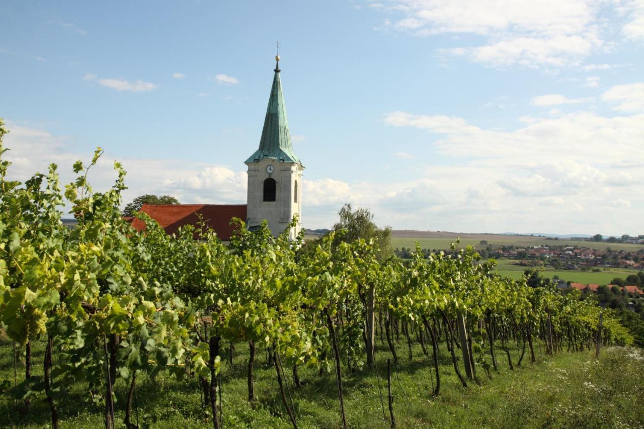Ubytovani Ve Vinarstvi Medek | Medek House & Winery Угерське Градіште Екстер'єр фото