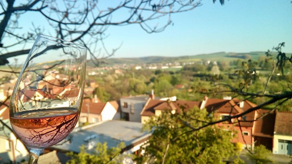 Ubytovani Ve Vinarstvi Medek | Medek House & Winery Угерське Градіште Екстер'єр фото