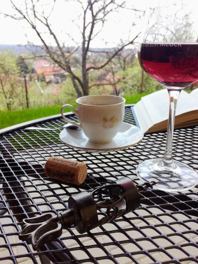 Ubytovani Ve Vinarstvi Medek | Medek House & Winery Угерське Градіште Екстер'єр фото